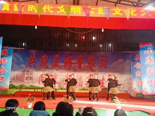 店上鎮新時代文明實踐 文化大舞臺文藝匯演譜寫文明交流新篇章